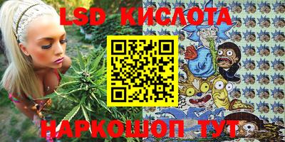 круглые Бердск