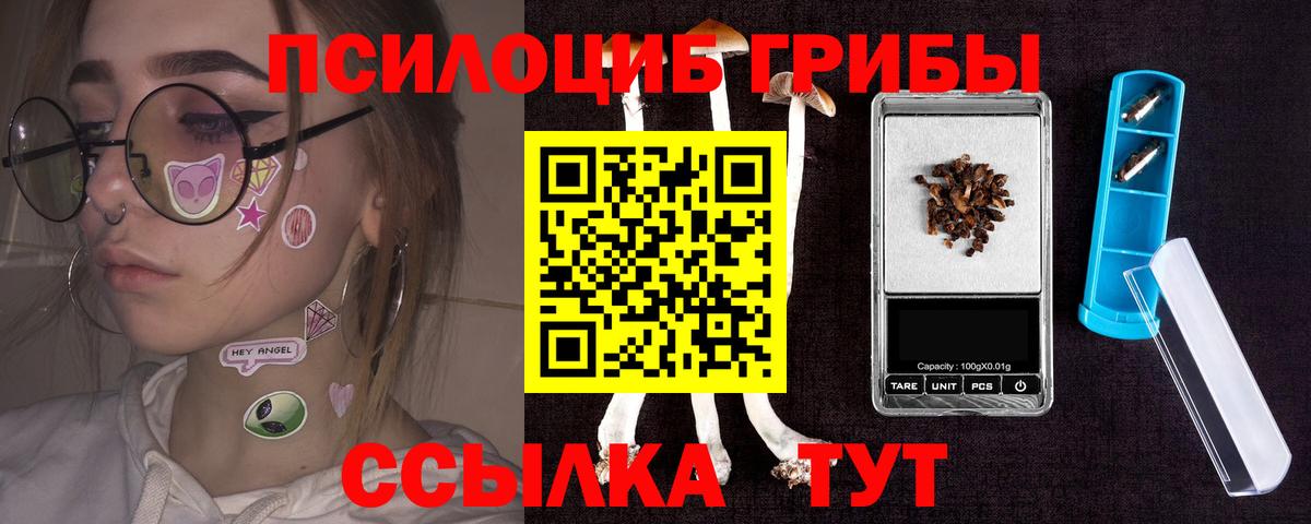 Псилоцибиновые грибы прущие грибы Комсомольск-на-Амуре